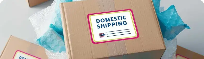 home.Domestic Shipping with ShippingToGo – Fast, Reliable, and
                            Hassle-Free